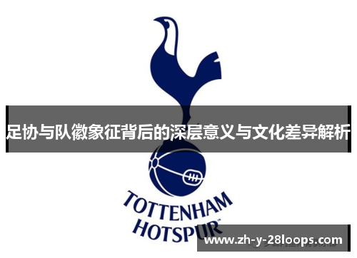 足协与队徽象征背后的深层意义与文化差异解析