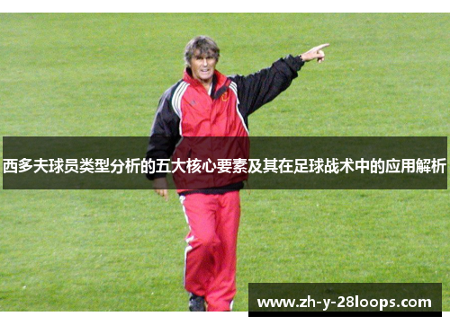 西多夫球员类型分析的五大核心要素及其在足球战术中的应用解析