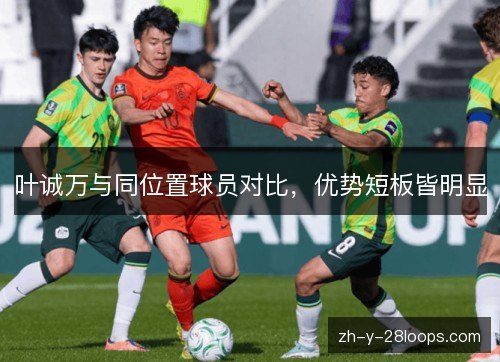 叶诚万与同位置球员对比，优势短板皆明显