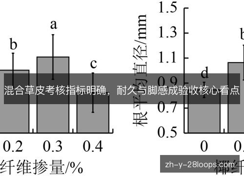 混合草皮考核指标明确，耐久与脚感成验收核心看点